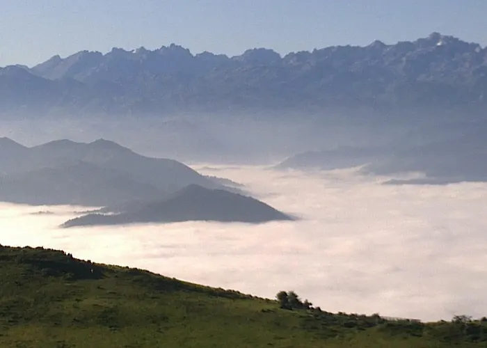 El Sumiciu * مييريس